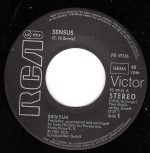 Sensus 45lik Plak - Görsel 2