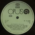 Slovenský Folklór LP Plak - Görsel 3