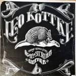 Leo Kottke – 6- And 12-String Guitar LP Plak
