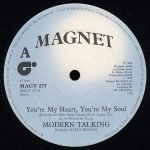 Modern Talking – You're My Heart, You're My Soul 12" Maxi Single Plak - Görsel 2