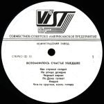 Nina Vysotina & Anatoli Safiulin - Vspomnilos' schast'ye ushedsheye LP Plak - Görsel 3