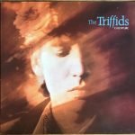 The Triffids – Calenture LP Plak