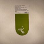 Automagic ‎– Do You Feel? 12'' Maxi Single Plak (Deep House)