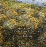 Trevor Watts Moiré Music Drum Orchestra – A Wider Embrace CD