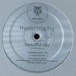 Hypertrophy – Beautiful Day 12'' Maxi Single Plak (Early House)