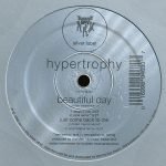 Hypertrophy – Beautiful Day 12'' Maxi Single Plak (Early House) - Görsel 2