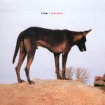 Fenin – Grounded CD SIFIR