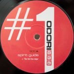 Spirit Guide – The First Few Steps 12'' Maxi Single Plak (Deep House)