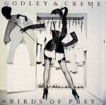 Godley & Creme – Birds Of Prey LP Plak