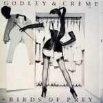 Godley & Creme – Birds Of Prey LP Plak