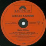 Godley & Creme – Birds Of Prey LP Plak - Görsel 3