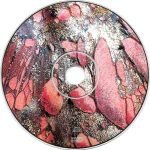 Fischerspooner – Emerge CD (Single) - Görsel 2