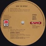 Dennis Coffey – Goin' For Myself LP Plak - Görsel 3