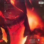 Roger Hodgson – Hai Hai LP Plak - Görsel 2