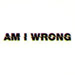 Etienne De Crecy – Am I Wrong CD Single (House)
