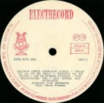 Maria Ciobanu – Maria Ciobanu LP Plak - Görsel 4