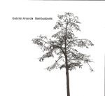 Gabriel Ananda – Bambusbeats CD (Minimal)