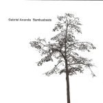 Gabriel Ananda – Bambusbeats CD (Minimal)