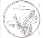 Gabriel Ananda – Bambusbeats CD (Minimal) - Görsel 2