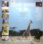 Stewart Copeland – The Rhythmatist LP Plak - Görsel 2