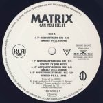 Matrix – Can You Feel It 12'' Maxi Single Plak (Early House) - Görsel 3