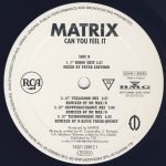 Matrix – Can You Feel It 12'' Maxi Single Plak (Early House) - Görsel 4