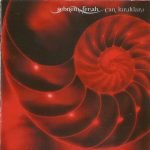 Şebnem Ferah – Can Kırıkları CD
