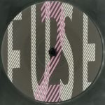 Everything But The Girl – Fuse LP Plak - Görsel 4