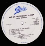 Dead Or Alive – Mad, Bad, And Dangerous To Know LP Plak - Görsel 4