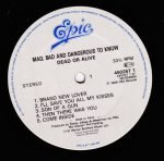 Dead Or Alive – Mad, Bad, And Dangerous To Know LP Plak - Görsel 3