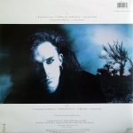Dead Or Alive – Mad, Bad, And Dangerous To Know LP Plak - Görsel 2
