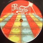 Rod – Shake It Up (Do The Boogaloo) 12'' Maxi Single Plak