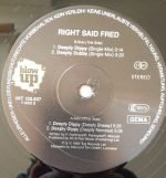 Right Said Fred – Deeply Dippy 12'' Maxi Single Plak - Görsel 3