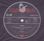 Zazu – Captain Starlight 12'' Maxi Single Plak - Görsel 3