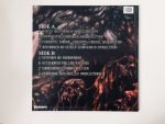 Cenotaph – Perverse Dehumanized Dysfunctions LP Plak - Görsel 2
