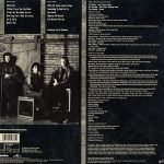 The Jeff Healey Band – Hell To Pay LP Plak - Görsel 2