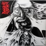 Disharmonic Orchestra / Pungent Stench – Split LP Plak