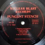 Disharmonic Orchestra / Pungent Stench – Split LP Plak - Görsel 6