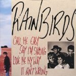 Rainbirds – Call Me Easy Say I'm Strong Love Me My Way It Ain't Wrong LP Plak