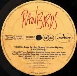 Rainbirds – Call Me Easy Say I'm Strong Love Me My Way It Ain't Wrong LP Plak - Görsel 4