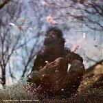 Cat Stevens – Mona Bone Jakon LP Plak - Görsel 2