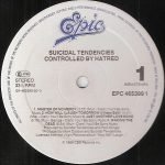 Suicidal Tendencies – Controlled By Hatred (Feel Like Shit... / Deja-Vu) LP Plak - Görsel 2