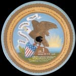 Sufjan Stevens – Illinois 2LP Plak - Görsel 2