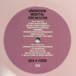 Unknown Mortal Orchestra – Sex & Food LP Renkli Plak - Görsel 2