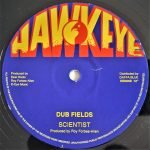 Desi Roots / Scientist – Weedfields / Dub Fields 12” Maxi Single Plak - Görsel 2