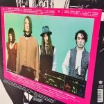 The Dandy Warhols – Why You So Crazy LP Plak - Görsel 3