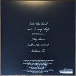 Boygenius LP Plak - Görsel 3