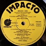 Andalucia Canta LP Plak - Görsel 3