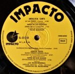 Andalucia Canta LP Plak - Görsel 4