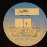 Linđo – Homo U Kolo LP Plak - Görsel 4